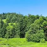Pod Lyskami
