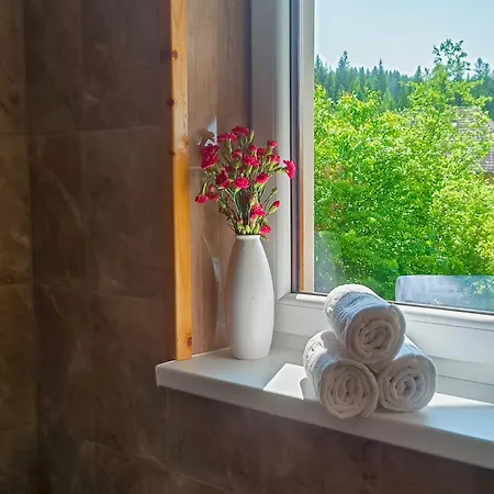 Pod Lyskami Gæstehus Nowy Targ