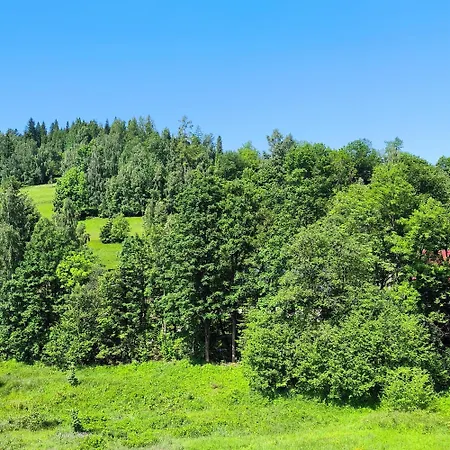 Pod Lyskami